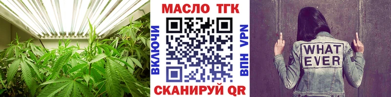 что такое   Себеж  ТГК концентрат 