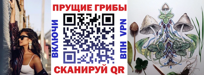 Псилоцибиновые грибы ЛСД  где найти   Себеж 